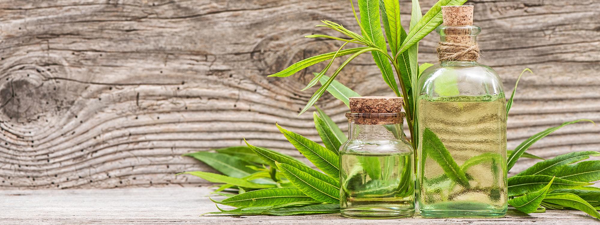 Boutique en ligne de CBD : commande de graines, fleurs, thés, huiles