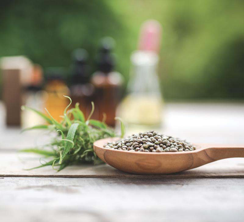 CDB et Graines vous conseille sur l'utilisation de CBD, huiles et fleurs
