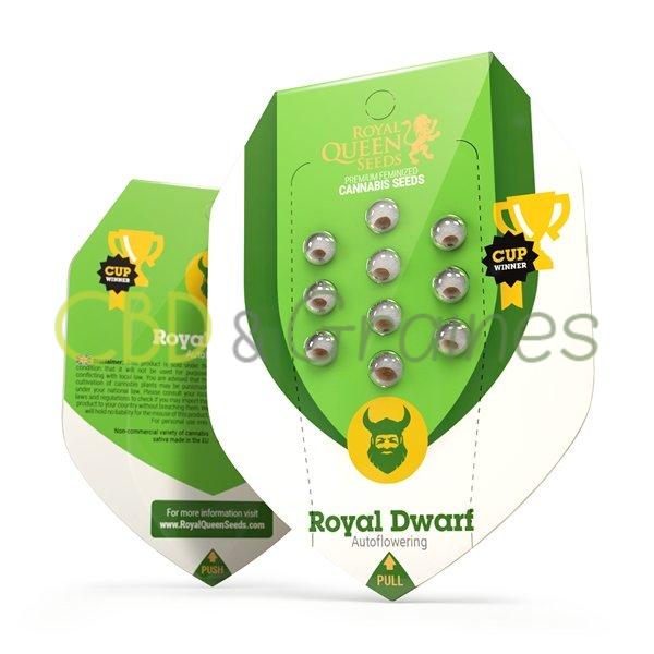 royal-dwarf