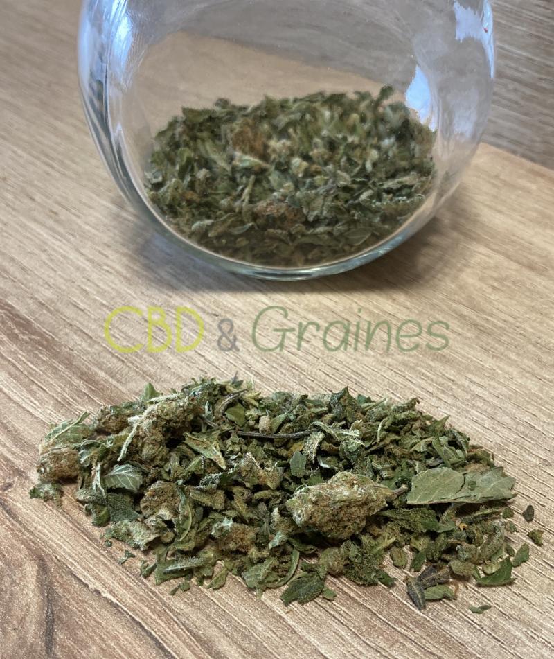 graines-cbd