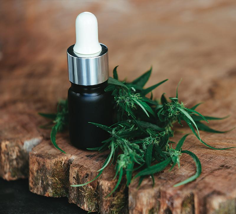 Acheter de l'jhuile de CBD à Saint-Malo chez Zen Attitude