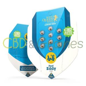 fast-eddy-cbd-auto