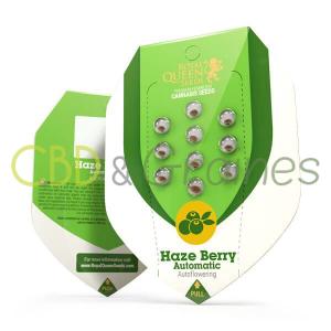 haze-berry-automatic
