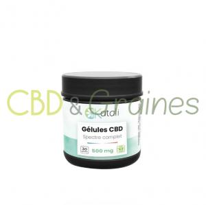 graines-cbd