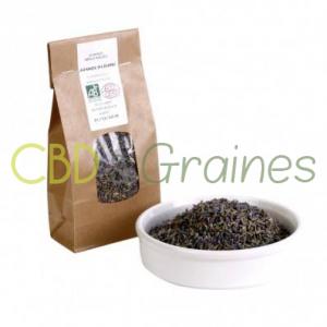 graines-cbd