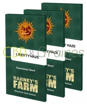 liberty-haze_