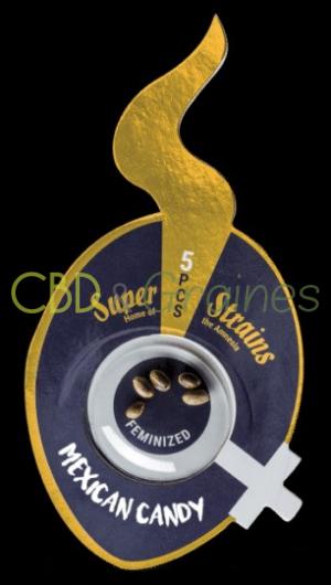 graines-cbd