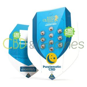 purplematic-cbd graines et zen attitude
