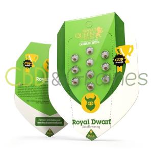 royal-dwarf