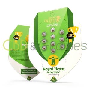 royal-haze-automatic