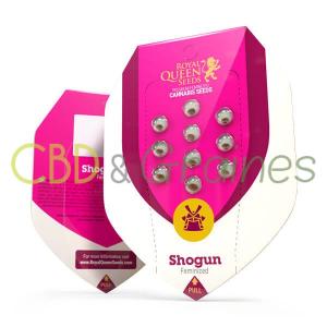shogun