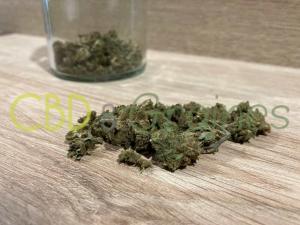 ZEN ATTITUDE - SMALL BUD 10G - fleurs CBD PAS CHER DISCOUNT
